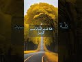 طه احمد نور الكون جمالا 