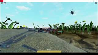 Catibam1223 (Spawn killing and protein grinding)