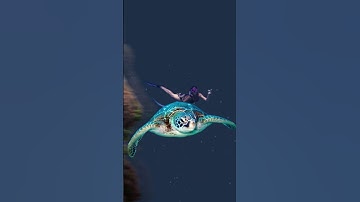 One Ocean, One Mission: Sea Turtle Conservation | World Sea Turtle Day 2025 #turtle