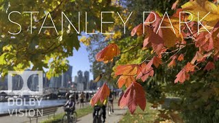 Stanley Park Fall  Foliage  Autumn Colors | Vancouver Canada 4K Sep 30, 2023