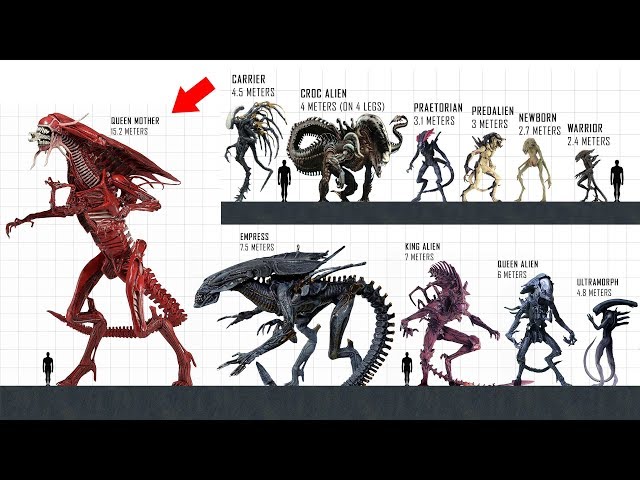 XENOMORPH Size Comparison class=