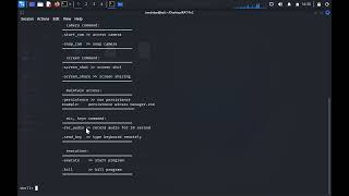 Python RAT Proof of Concept