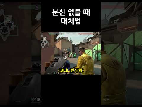 분신 없을 때 대처법