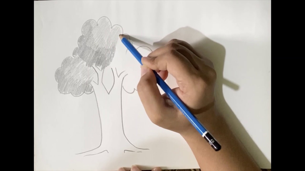 HOW TO DO BASIC PENCIL SHADING FOR KIDS (tree shading) YouTube