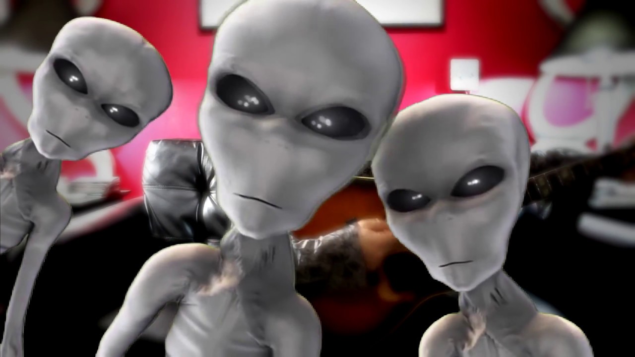 James Maddock - What The Elephants Know (OFFICIAL)