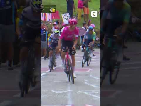 😂 Pogacar en difficulté dans le col du Pré ! Jacky Durand en roue libre #shorts #cycling