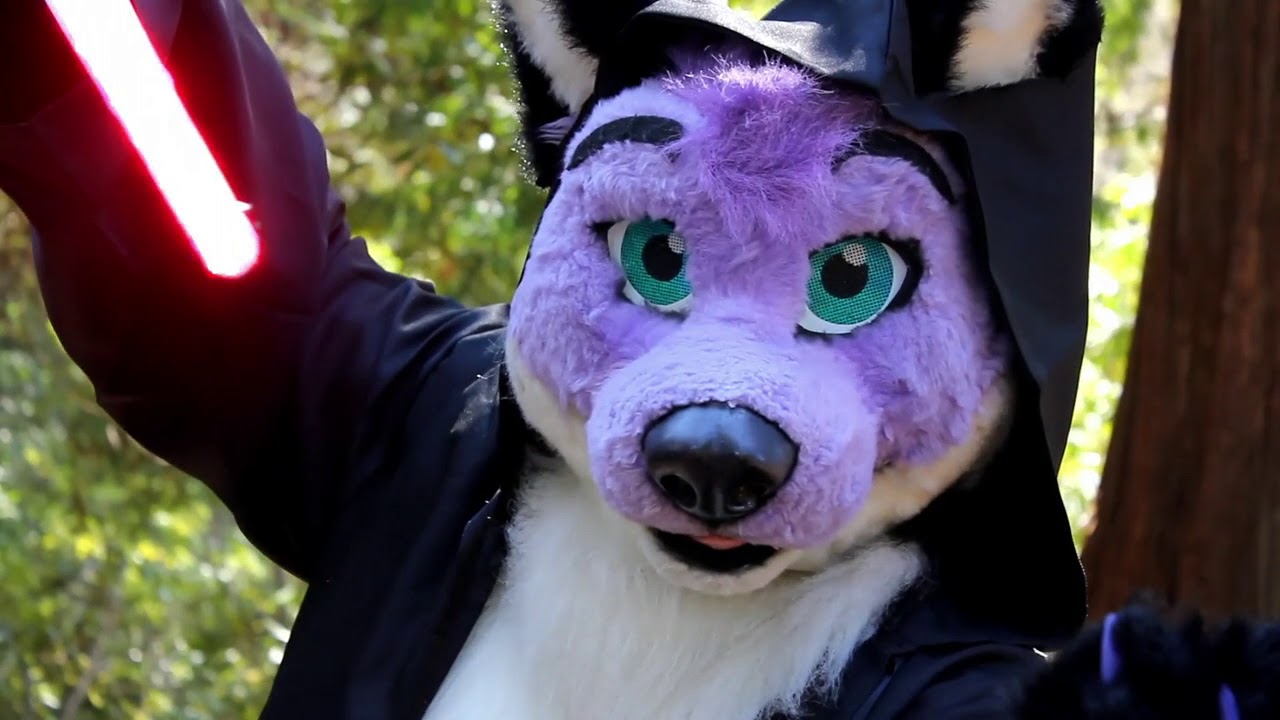 May 4, 2019 - Join The Barkside