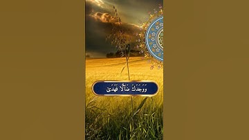 سورة الضحى بصوت محمد الفقيه