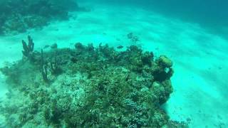 Scuba Diving with Stingray #2 in San Andres Island- Colombia