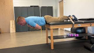 Back Extension on Table/Biering Sorenson Test