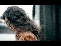 Capture de la vidéo Amy Sky - Soledad