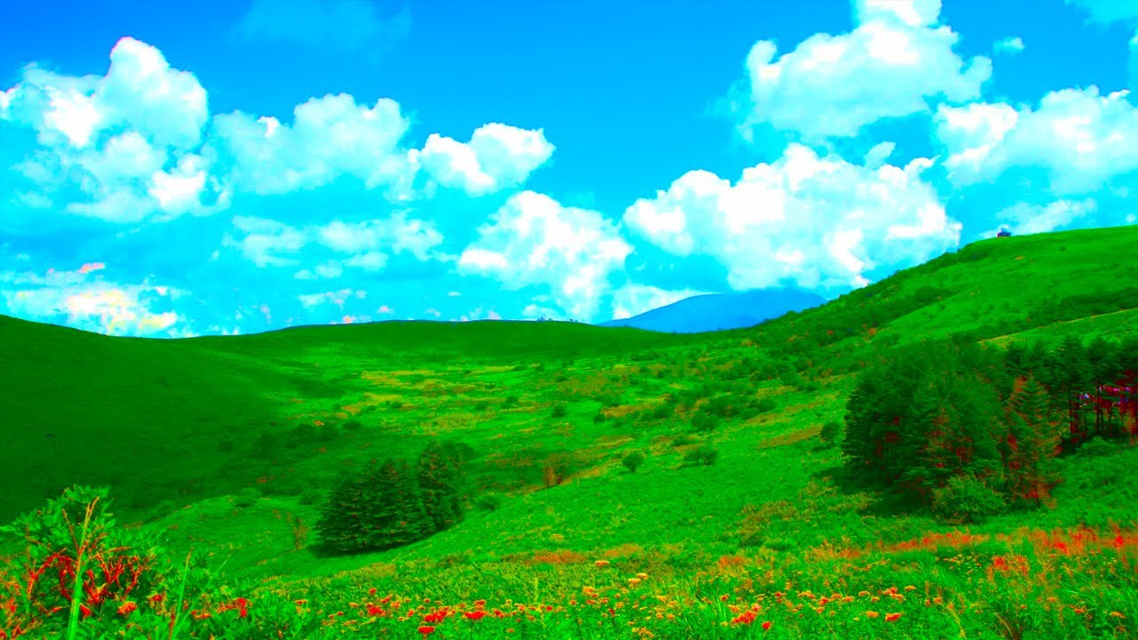 Immunity - Music for not getting sick BGM [под наблюдением врача Healing].