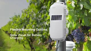HOBOnet® Field Monitoring System