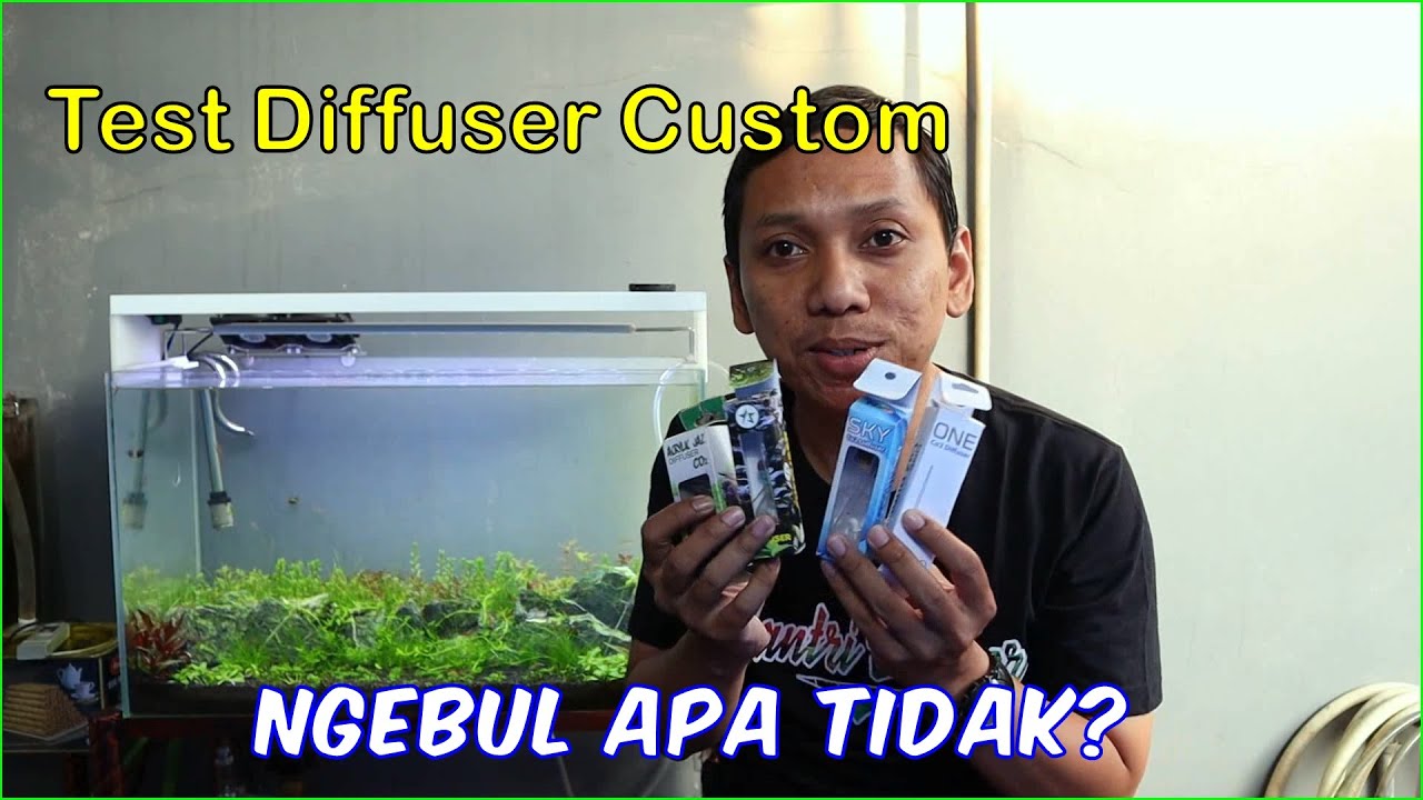 Review dan Test 4 Diffuser CO2 Custom