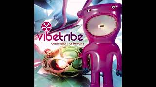 Alien Project & Space Cat - The Purist (Vibe Tribe Remix) (145BPM)