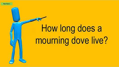 How Long Does A Mourning Dove Live?
