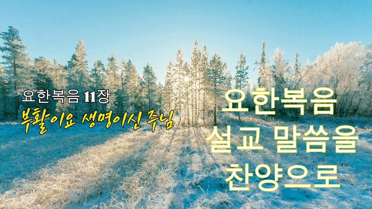 [ 요한복음 찬양 ] ｜요한복음 11장 찬양｜부활이요 생명이신 주