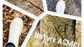 Nature ASMR (No talking) Crunchy walks, tree tracing with sticks and rock sounds