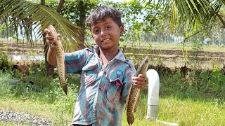 Catching Fish with the Kids - SHORTS