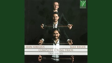 String Trio No. 2 in D Minor, Op. 141b: III. Vivace