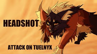 || HEADSHOT || Artfight attack on @Tuelnyx || HEADSHOT || Artfight attack on @Tuelnyx
