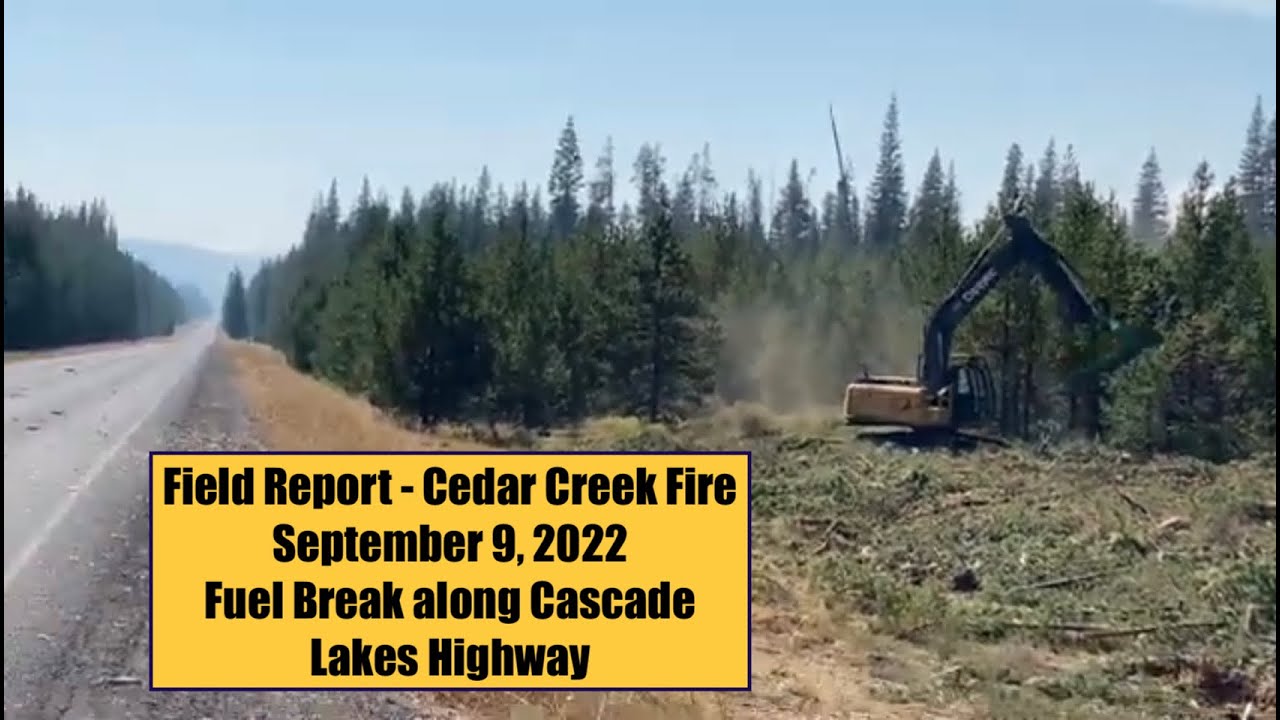 Field Report Shaded Fuel Break underway along Highway 46 Cascade