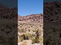 LAs Vegas Red ROCK CanYON! #lasvegas #redrockcanyon #vacation #sun #summer #fun #kids