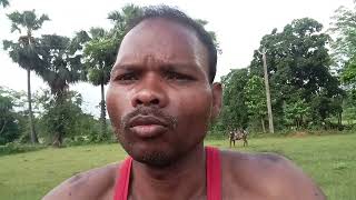 Sokalu Asiche Biloku Repairing Koriba Pain