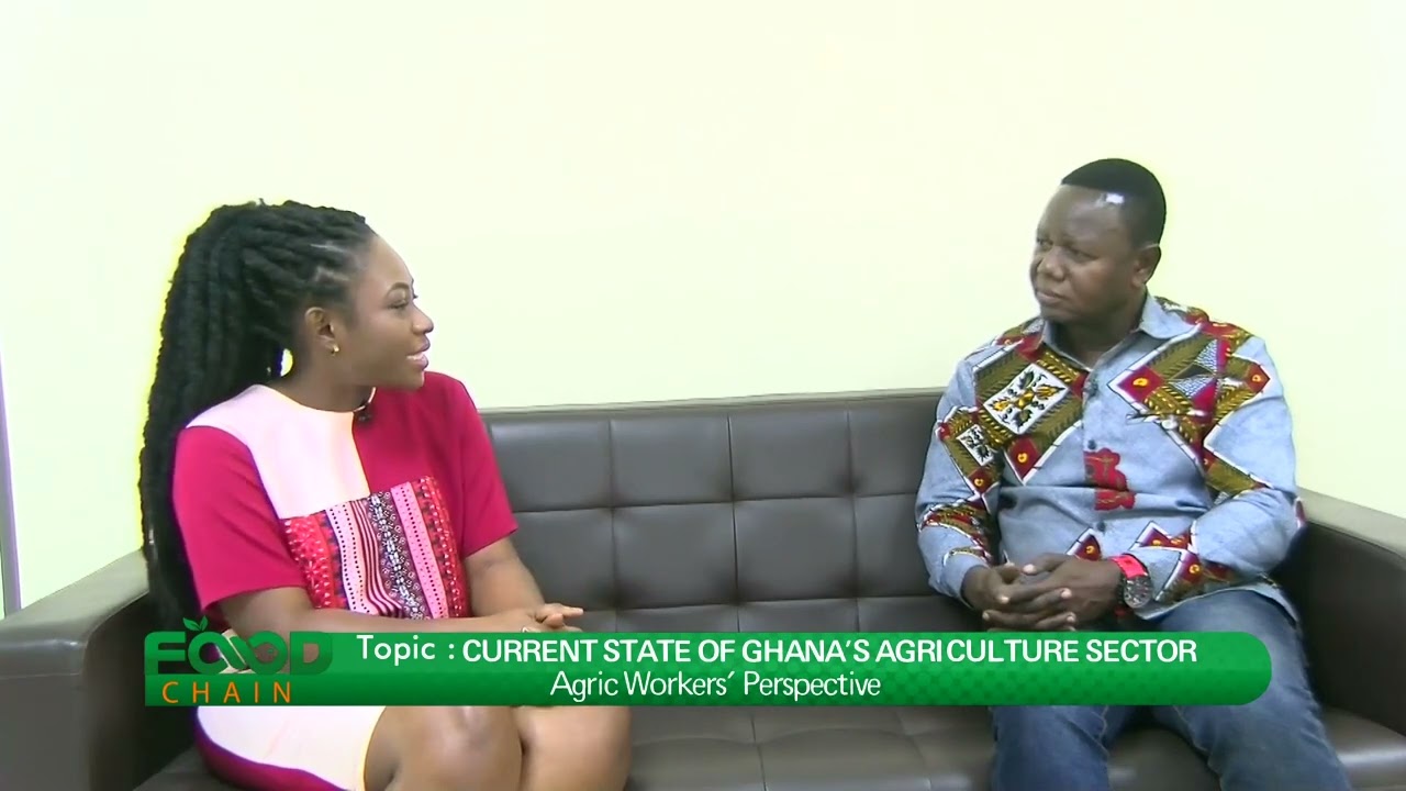 Current State of Ghana's Agriculture Sector: Agric workers perspective - Food Chain