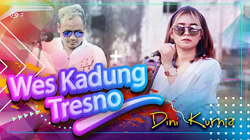 DINI KURNIA - WES KADUNG TRESNO || LIVE AKUSTIK MUSIK ||OFFICIAL VIEDO MUSIC || VIRANO CREATOR