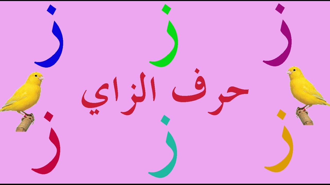 تعلم الكتابة والقراءة بسهولة - حرف الزاي - ز - محو الأمية وتعلم العربية ...