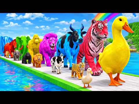 Long Slide Game with Cow Elephant Gorilla Hippopotamus Tiger 3d Animal Game Funny 3d Animals