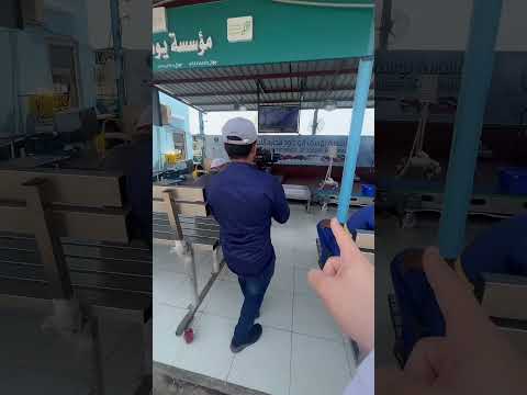 حراج السمك الحي في سوق السمك جدة البنقلة