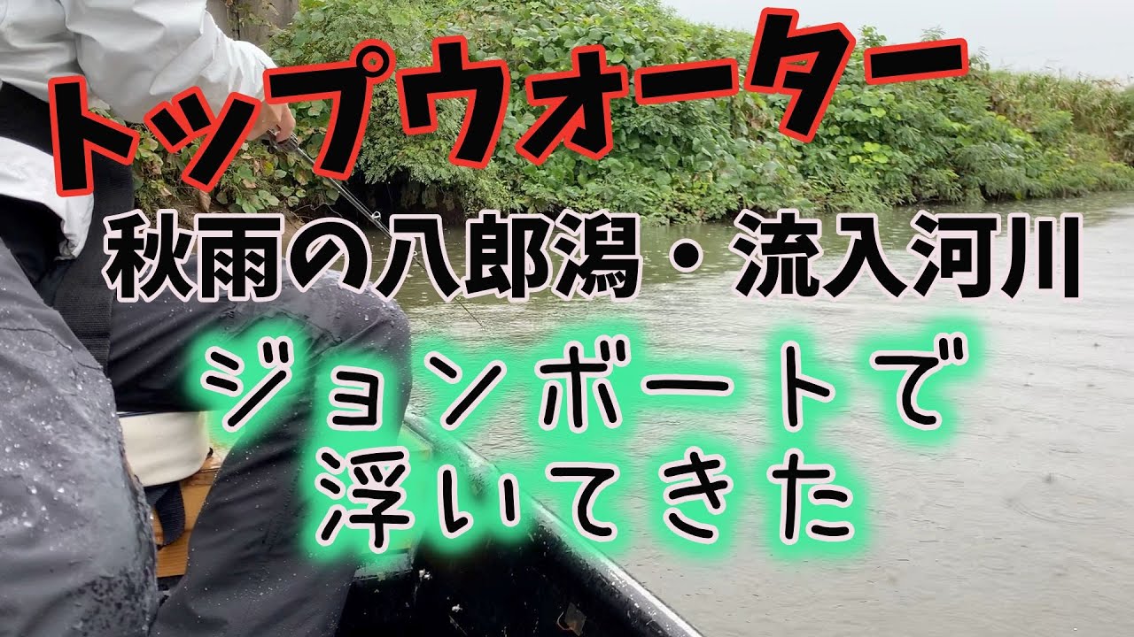 6万円で買ったアルミボートで、琵琶湖に釣りに行って来た。ウィードの