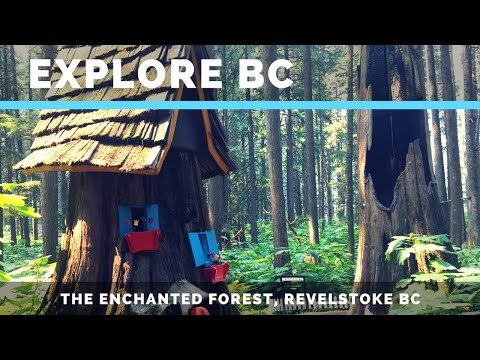 Explore BC - The Enchanted Forest