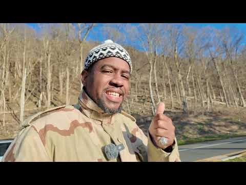 F.M.F. #293 “Magnus”