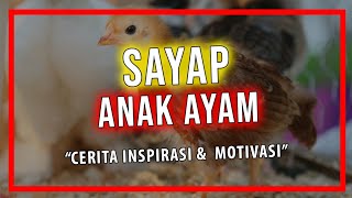 SAYAP ANAK AYAM | Cerita Inspirasi & Motivasi | Handinata Santoso
