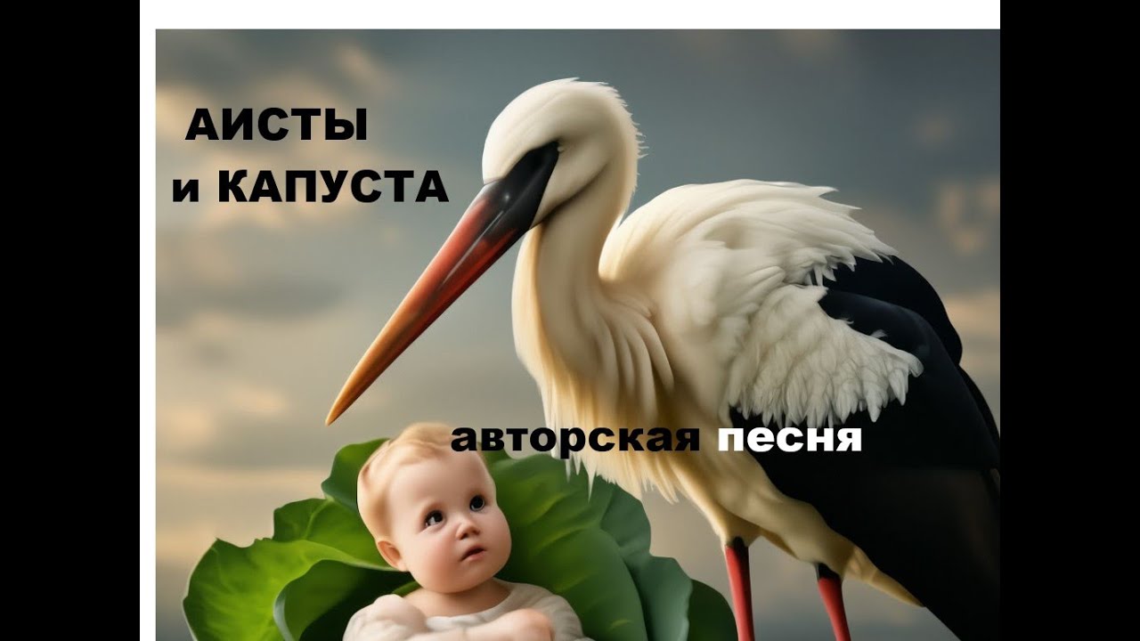 АИСТЫ И КАПУСТА //авторская песня //