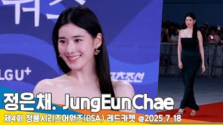 4K 정은채, 청룡시리즈어워즈 레드카펫 ㅣJungeunchae Bsa Redcarpet 2025.7.18 Newsen