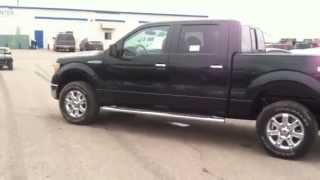 2013 Ford F-150 XLT @ Muscatell-Burns Ford