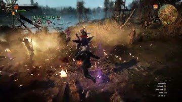 The Witcher 3 ee redux . Ekimmara fight