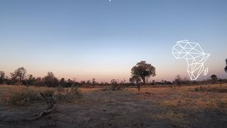 Enoo Napa - Innervision  [Afro House / Get Physical Music]