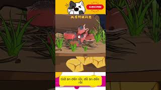 Ăn Thịt Chim Tu Hú - 