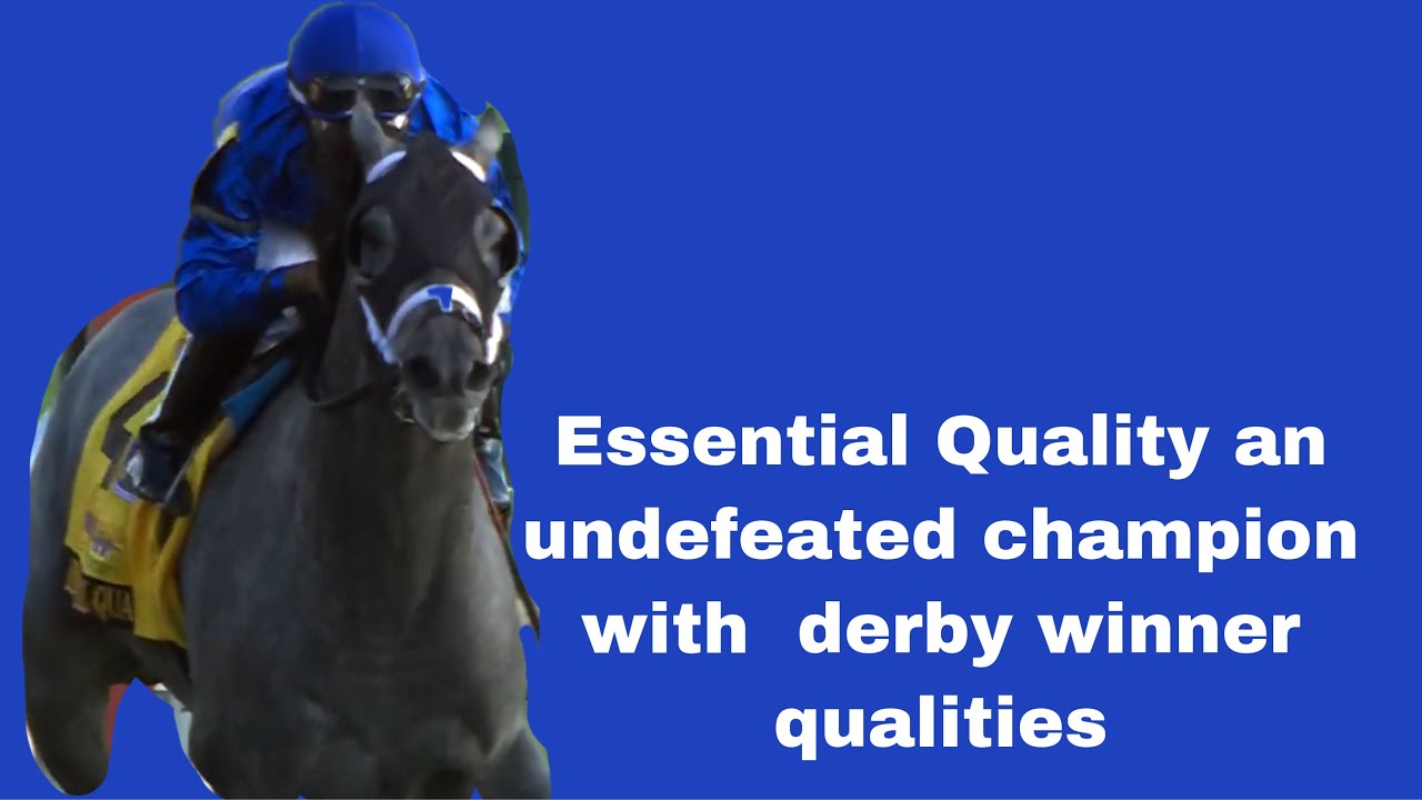 Essential Quality the perfect horse?