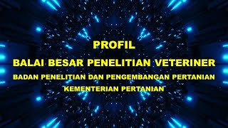 PROFIL BBLITVET 2021
