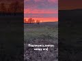 Заяц. Часть1(поднял с лёжки)