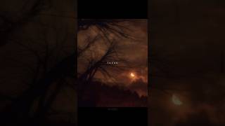 Last Leaves Of Autumn  shorts fyp nostalgia relax vibes s autumn