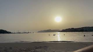 IMG 6326