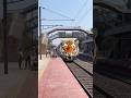 Amazing tiger galloping, local train at Balagarh station #shorts ￼￼