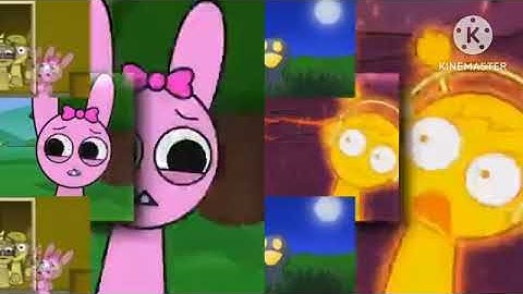 9 shuric scans with are slides 